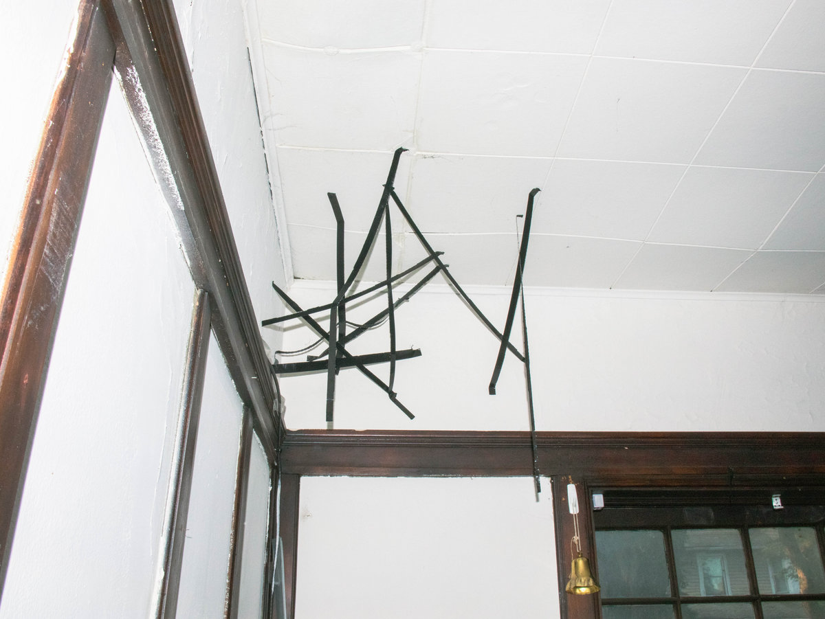 pecking order favicon